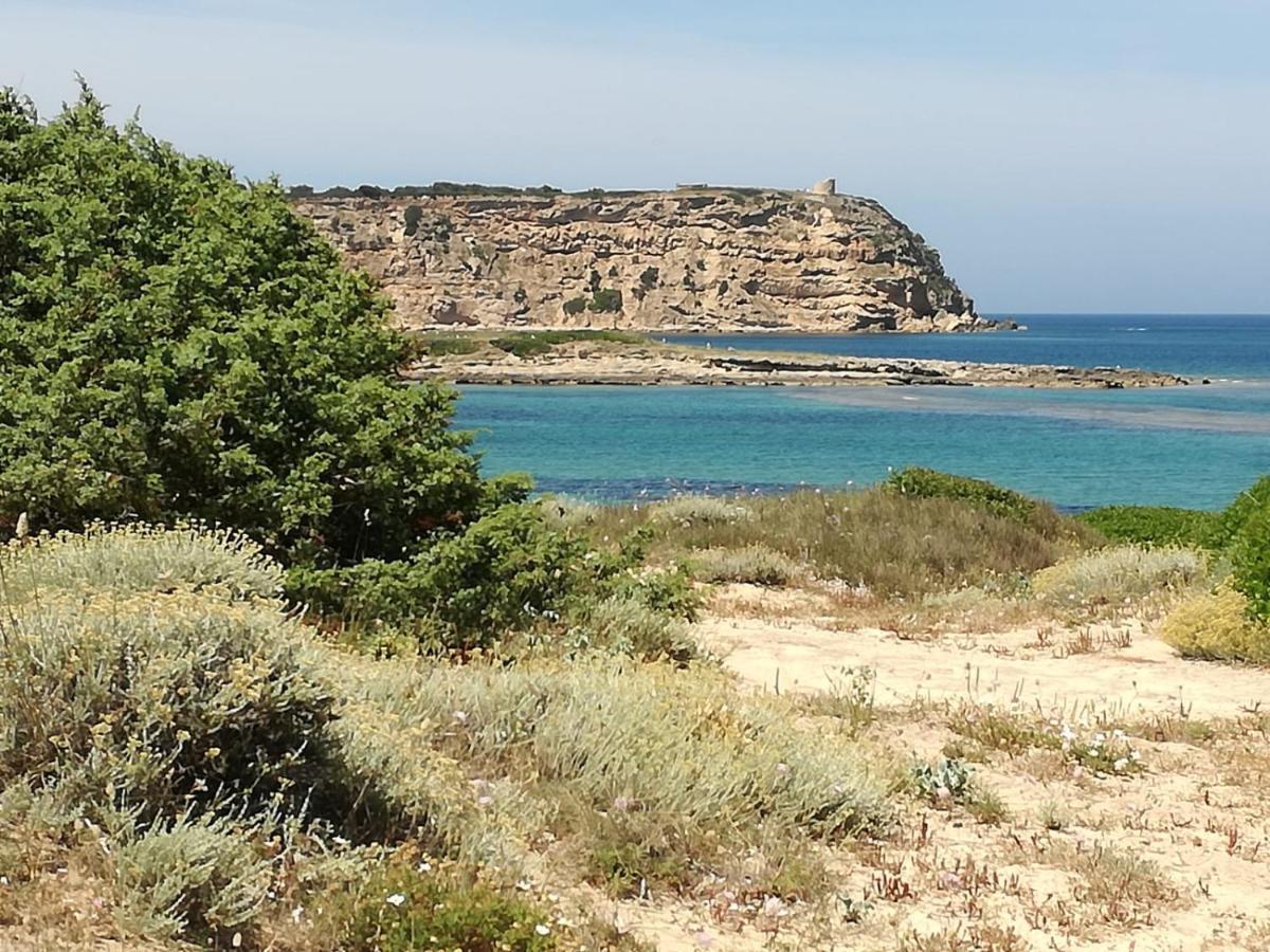Agriturismo Il Melograno Riola Sardo Exteriér fotografie