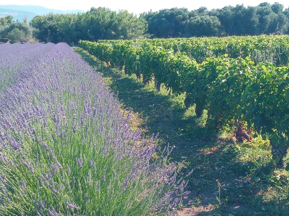 Agriturismo Il Melograno Riola Sardo Exteriér fotografie