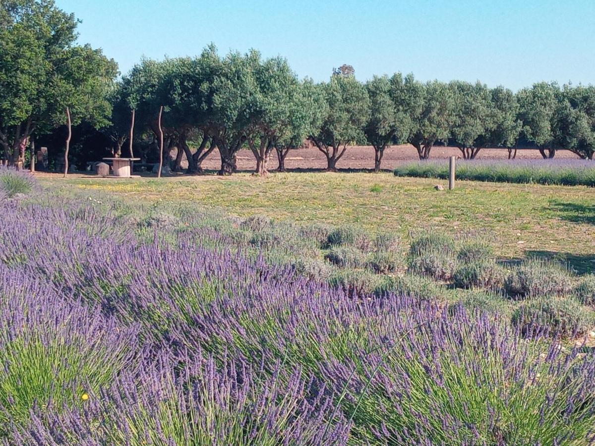 Agriturismo Il Melograno Riola Sardo Exteriér fotografie