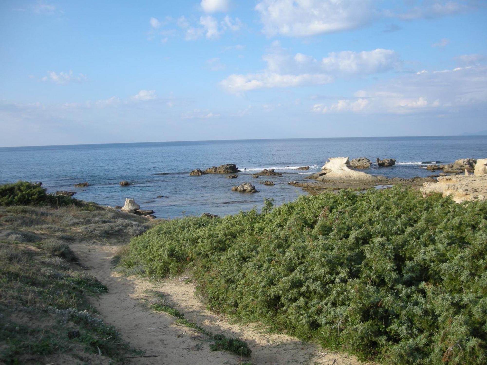 Agriturismo Il Melograno Riola Sardo Exteriér fotografie