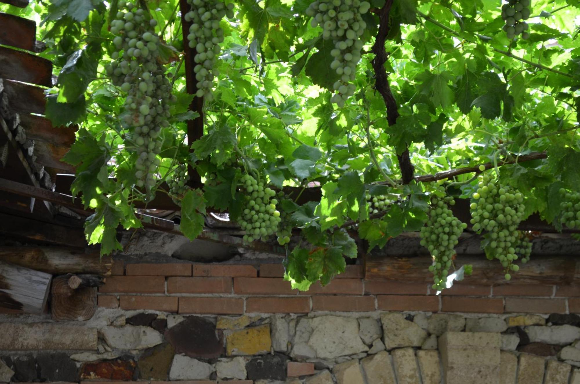 Agriturismo Il Melograno Riola Sardo Exteriér fotografie