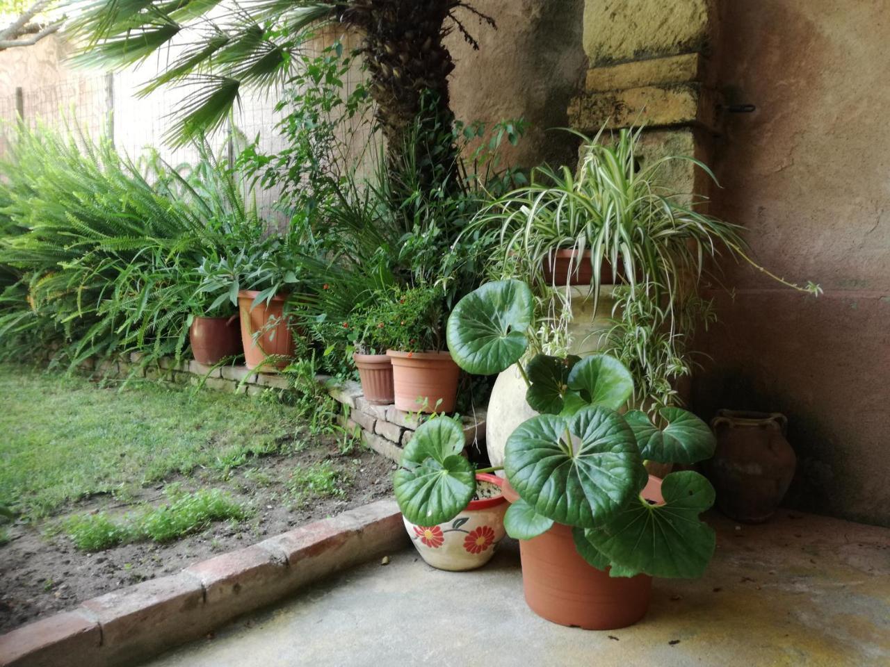 Agriturismo Il Melograno Riola Sardo Exteriér fotografie